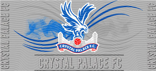 16oz Latest Bestseller-C 5958